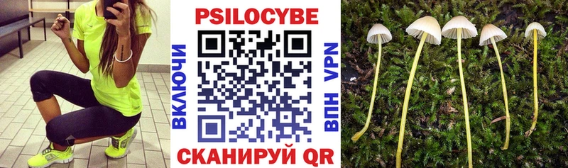 Псилоцибиновые грибы мухоморы  купить закладку  Кудрово 